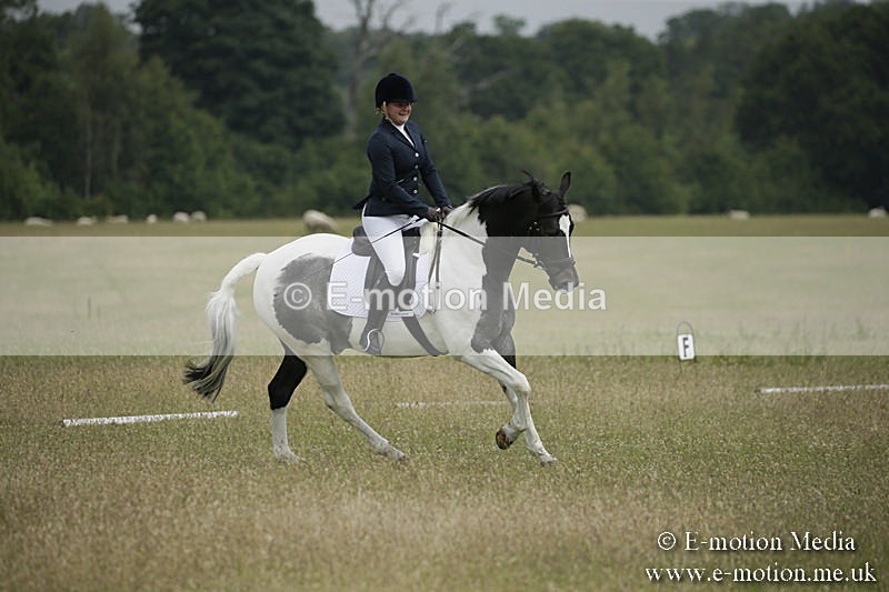 B230619-0381 - Bourne Valley Riding Club Summer Show 23/06/19