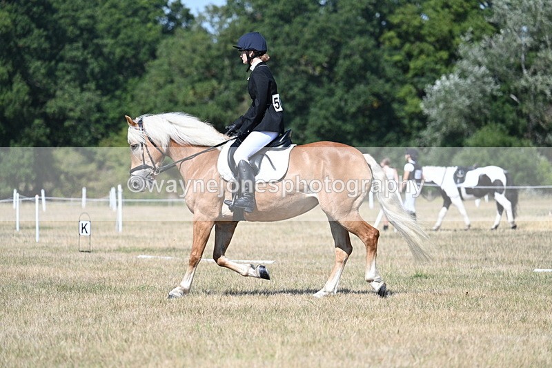 WJ7_0325 - Time 11:33 to 11:44