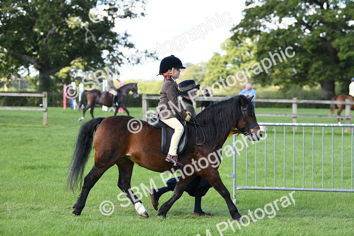 SBM_39714 - S18 - Novice & Newcomers Lead Rein Pony