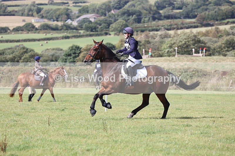 JPP_8697 - Class 2: Trekenning: 80cm Showjumping