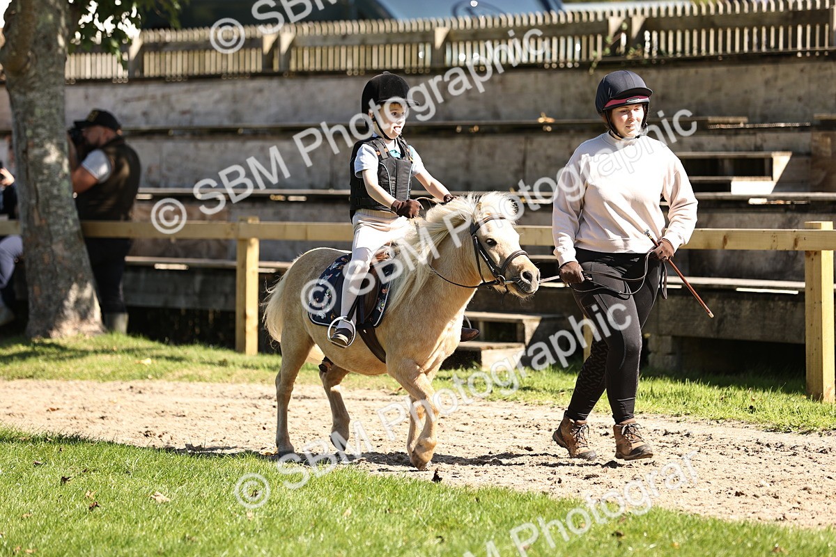 SBM_19223 - S3 - TSR Ridden Pony Showing