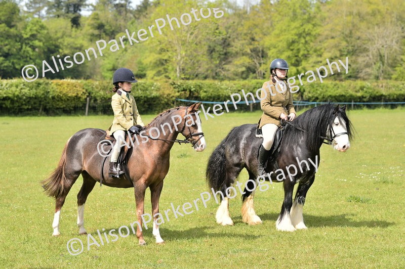 20260426-2328 - Class 20 - Beginner Working Hunter