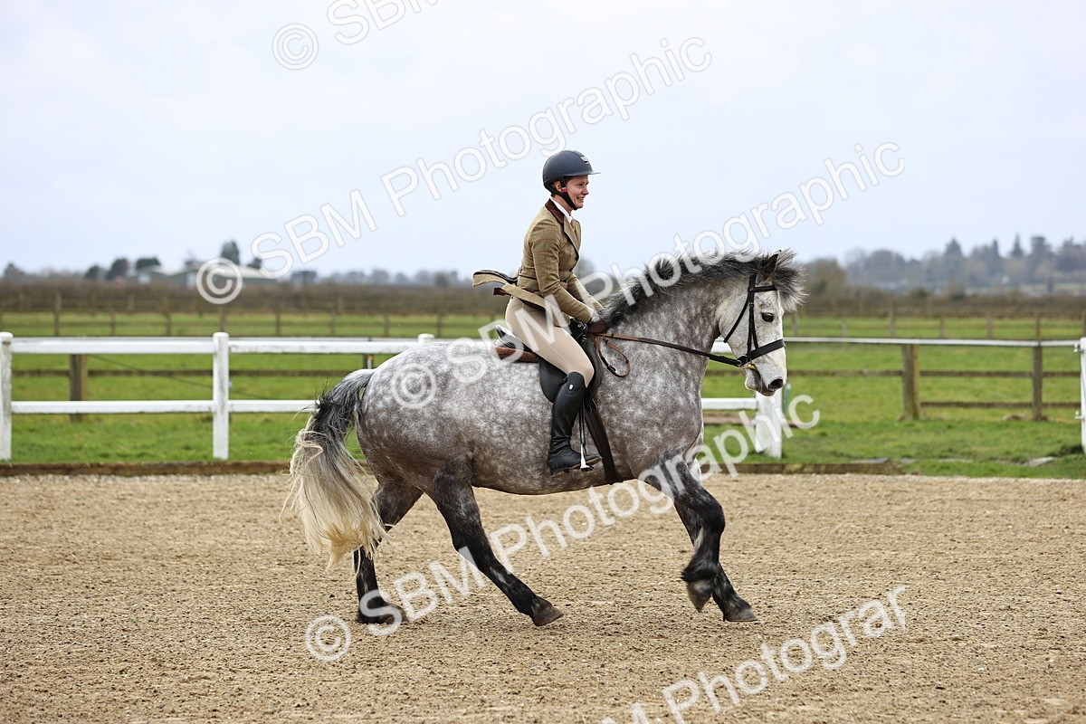 SBM_006927 - Class 29 - 30 - M&M Pure Novice Small-Large Breeds