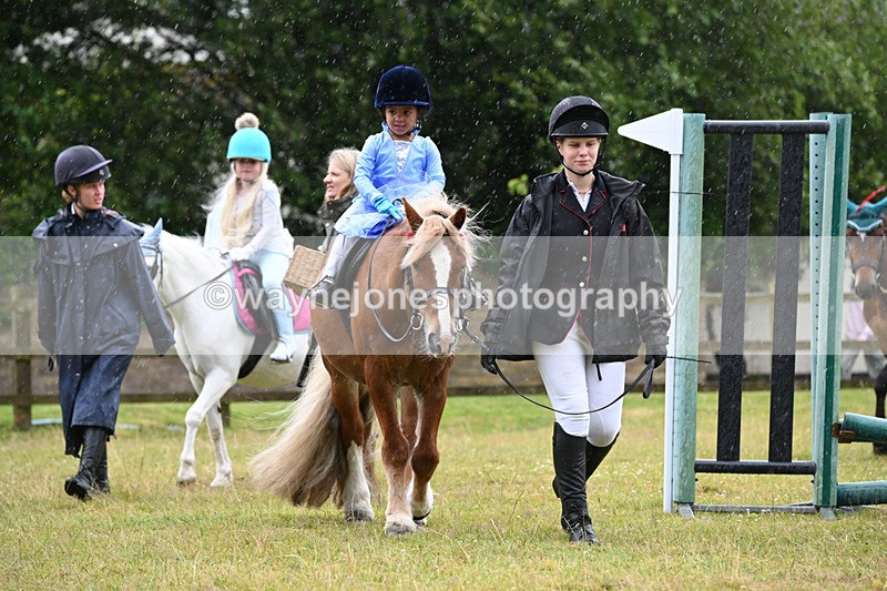 WJ6_9117 - Class 11 Fancy Dress