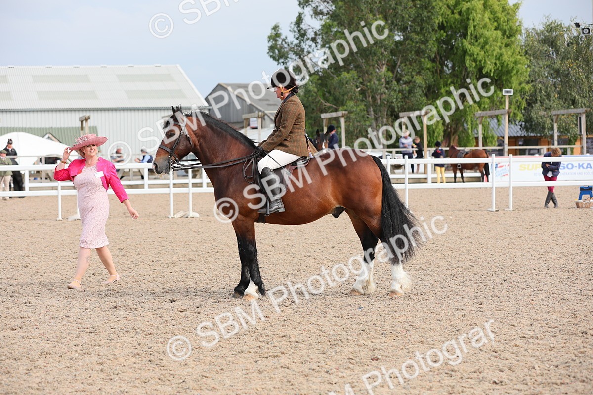 SBM_17747 - Class 315 Best Horse/Rider Combination