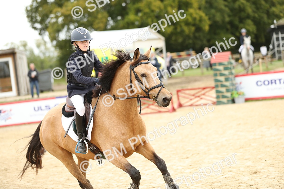 SBM_63126 - Supreme championship 75cm 80cm