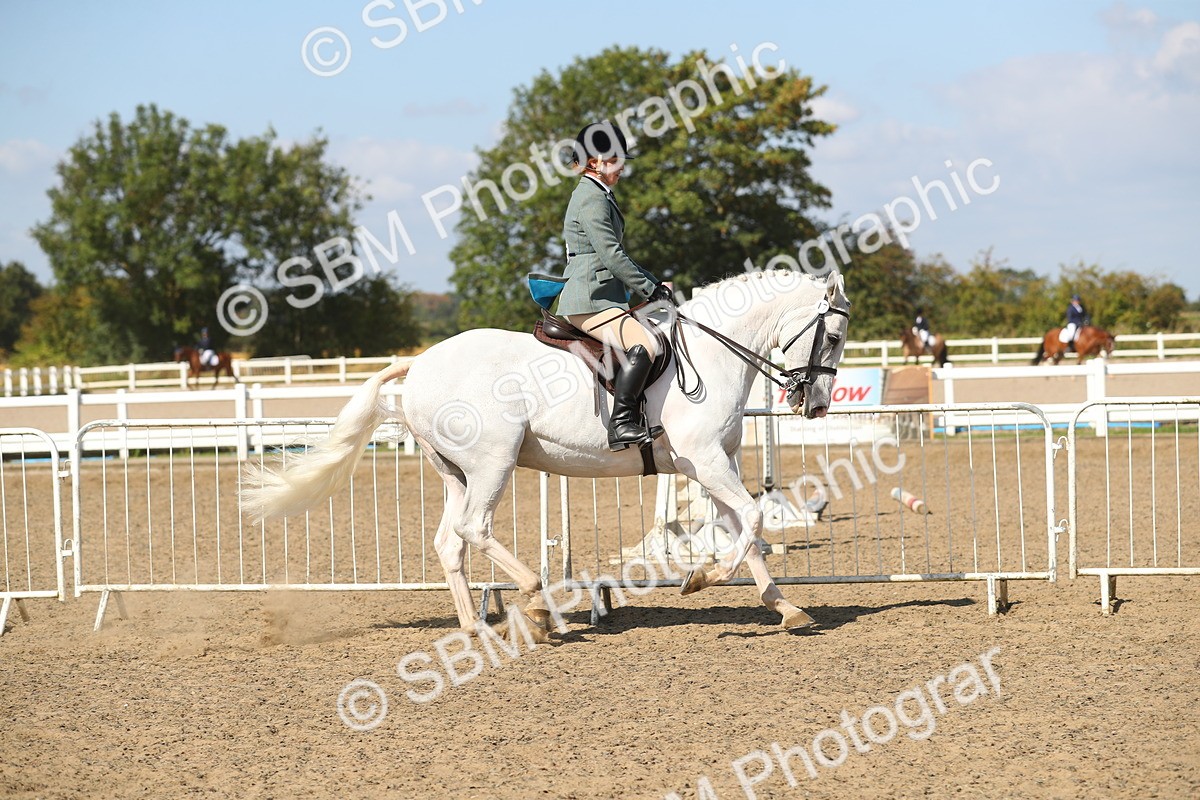 SBM_03139 - Class 44 Riding Club Horse/ Pony