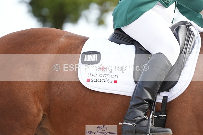 250906-100213-01415 - 001-Tracy.OKennedyWylye.Harlequin