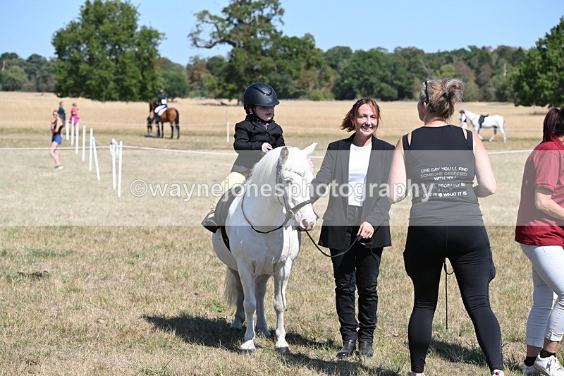 WJ6_8169 - Class 36 Lead Rein