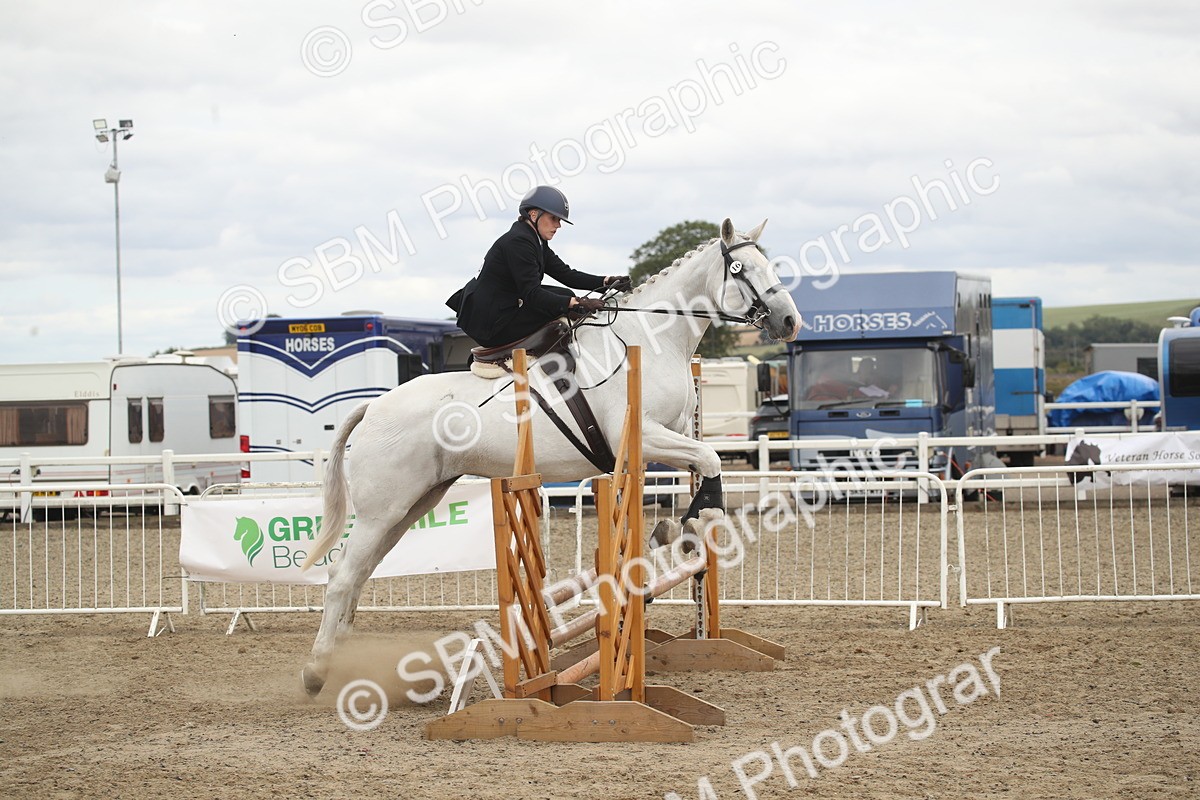SBM_17711 - Class 508a - Working Veteran 70cm (15-19)