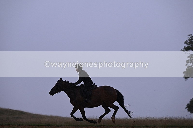 DSC_2994 - Time at Statue 12:59 to 13:49
