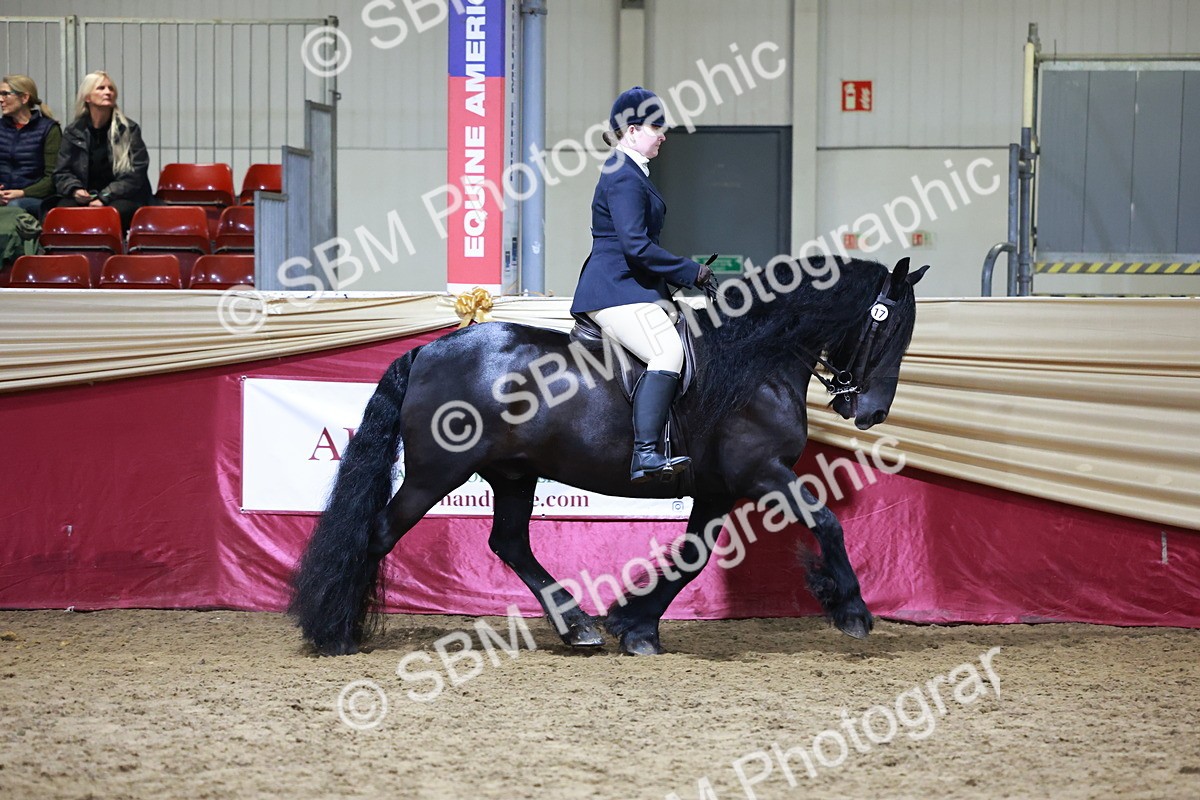 SBM_20898 - Class M - Equitation Champ