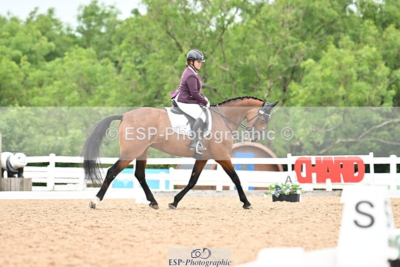 240623A-112624-17480 - Cls 48 BD Novice 37A