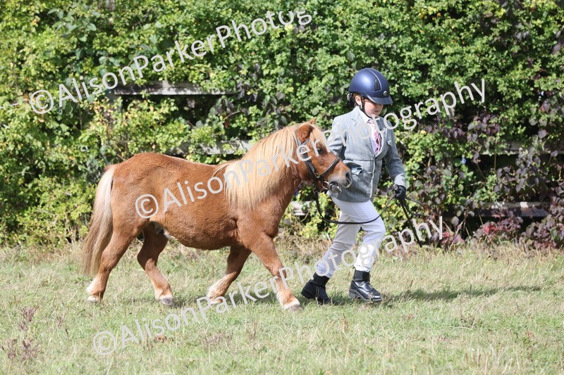 20250831-1756 - Previous show - Lambourn 2025