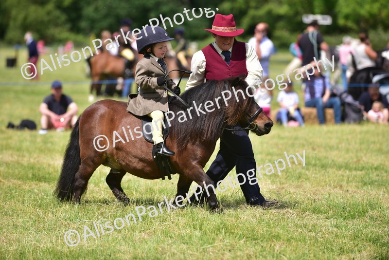20260614-1251 - Class 11a - Lead Rein Pony (Unplaited)