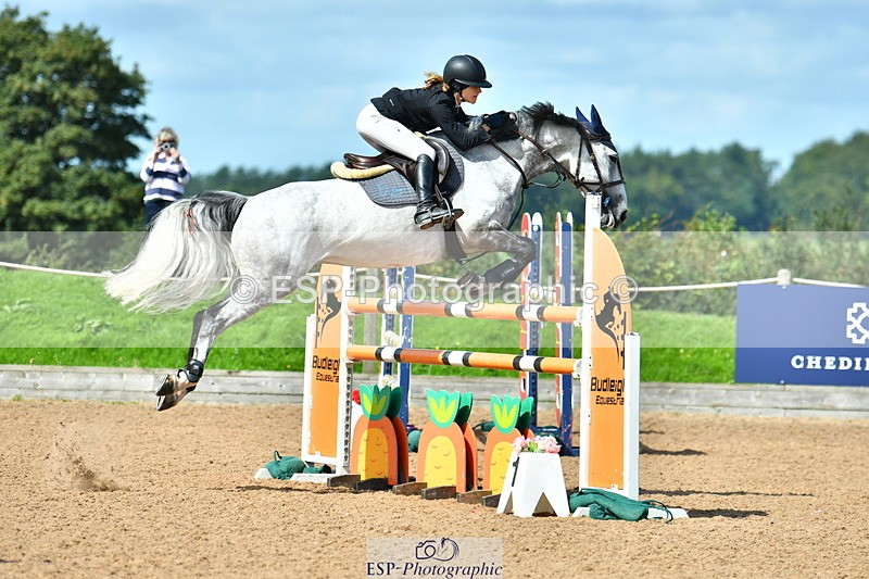 230811A-114258-03978 - Cls 20 Snr Fox