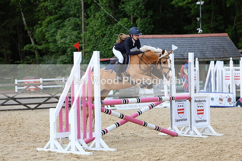 3E7A8514 - Class 14: Pony Newcomers/1m open