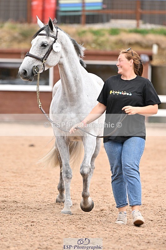 250716-154652-02184 - Trot Up 3.30 to 4.30