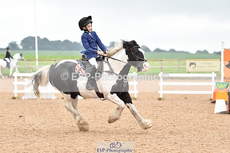 230902A-114618-00831 - Cls 2B Pony Small 80cm