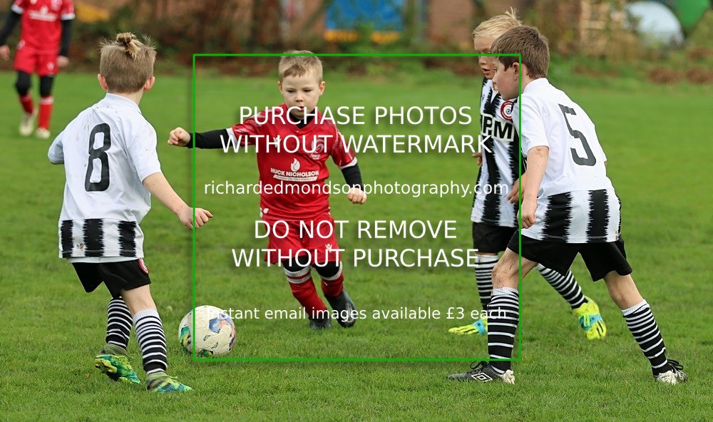 IMG_7113 - Ibis Under 8's (19/10/24)