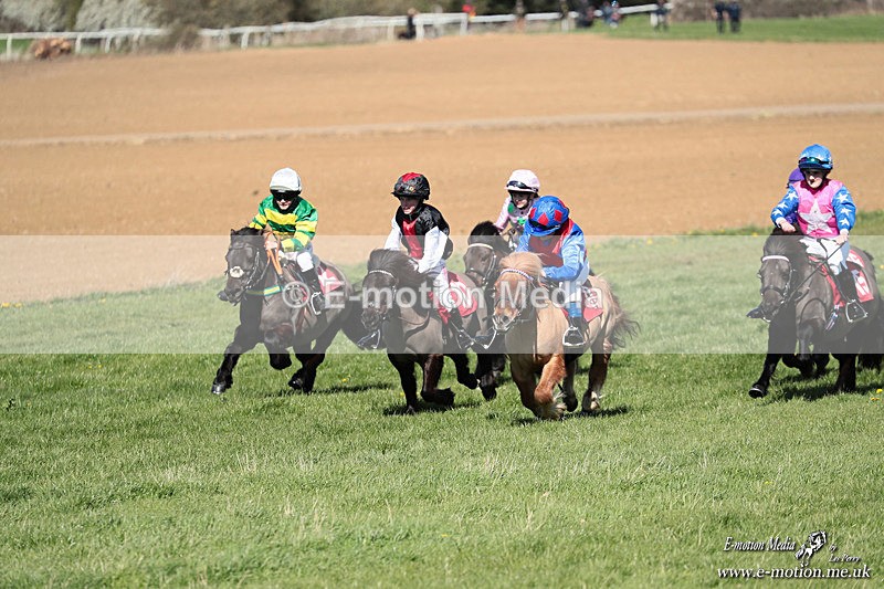 Shet 060426 263 - Shetland Pony Racing Paxford Races Easter Mon 06/04/26