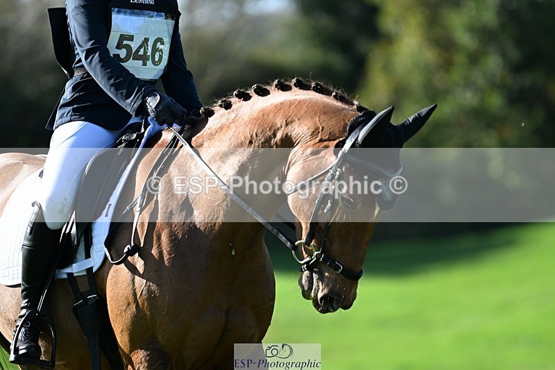 241025-112245-07130 - 546-Jennifer.Jaques-AURELIA.COOL