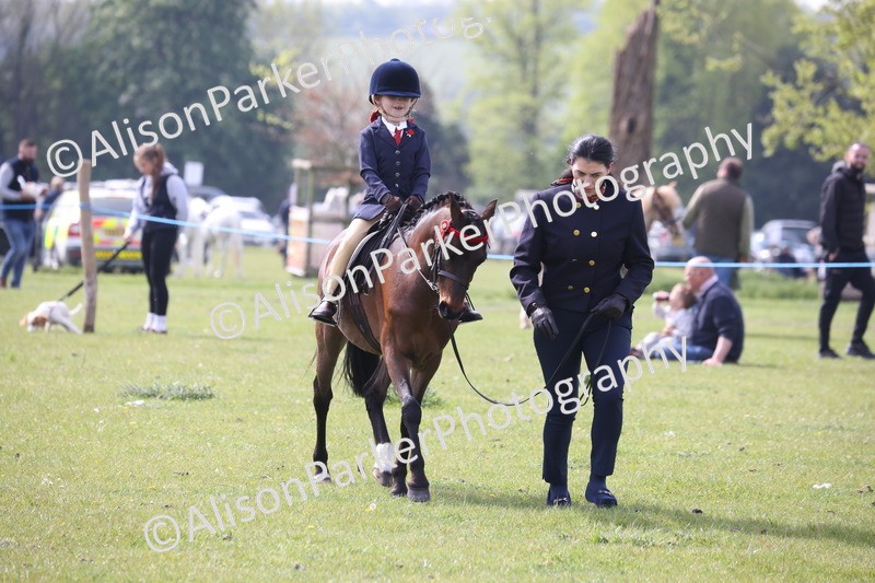 20260426-2585 - Class 31 - Leading Rein