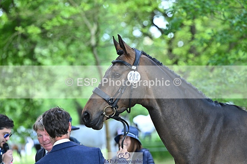 250521A-160741-00927 - C-205-Harry.Meade-IF.IN.DOUBT