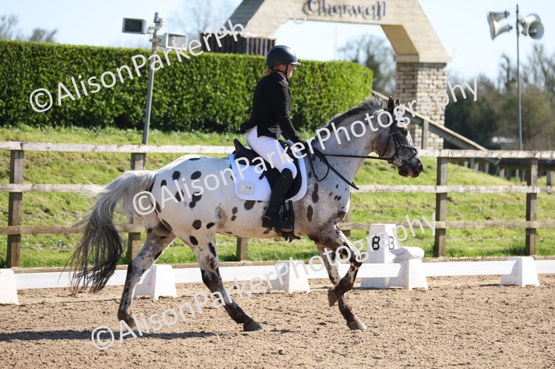 20260318-0472 - Class 5 - Novice 2