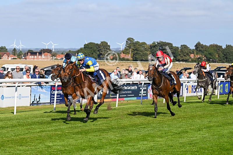 180924-Race 5-Blue Zodiac-4797 - Race 5