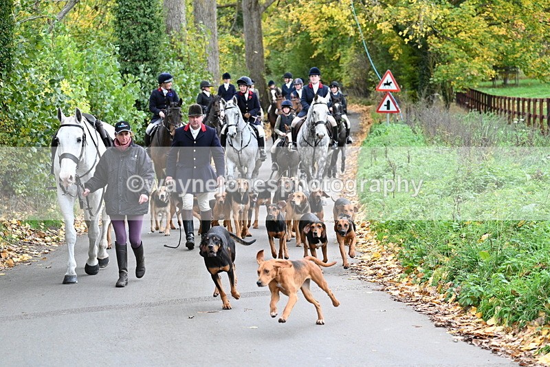 WJ7_7190 - Walk Home..