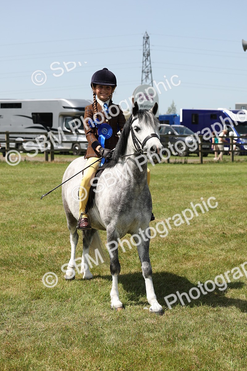 SBM_05363 - Class 24-25 - Mountain & Moorland In Hand Lead Rein and First Ridden