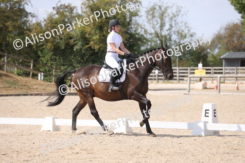 20260815-1036 - Class 6 - Novice 2