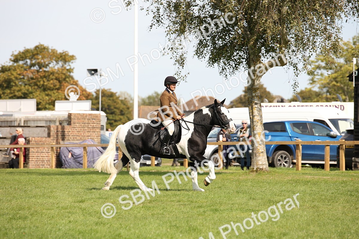 SBM_70114 - S65 - Piebald & Skewbald Horse Ridden