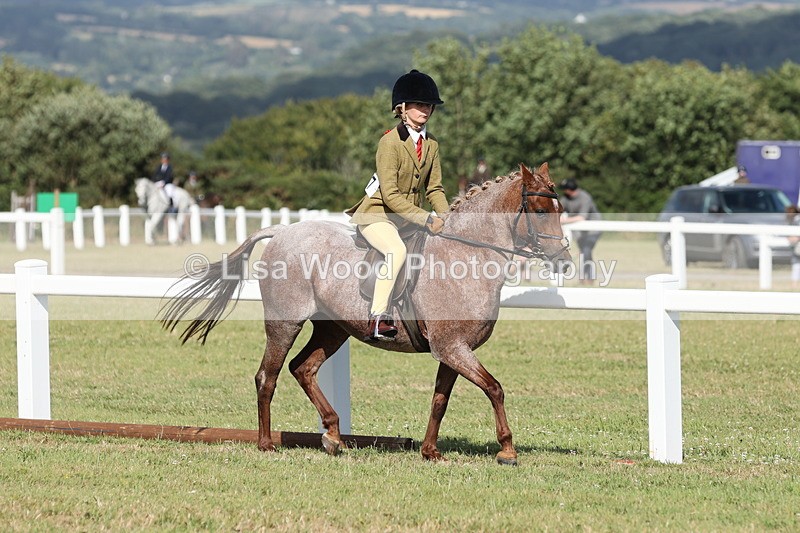 JPP_2855 - Class 20: Working Hunter 70cm