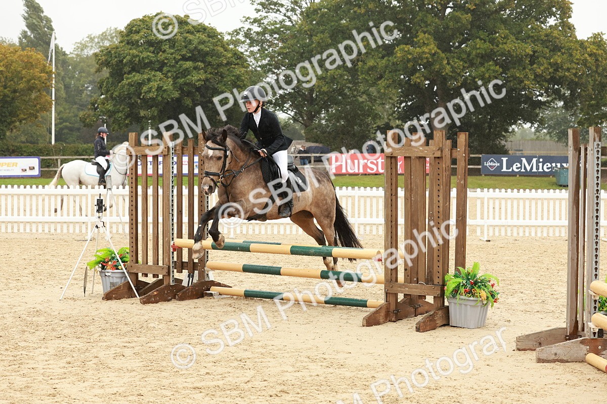 SBM_71316 - J14 - Junior Pony 65cm Championship