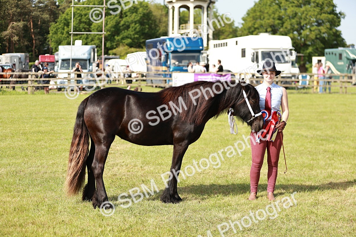 SBM_00912 - Class 14-23 - Mountain & Moorland In Hand Non Welsh