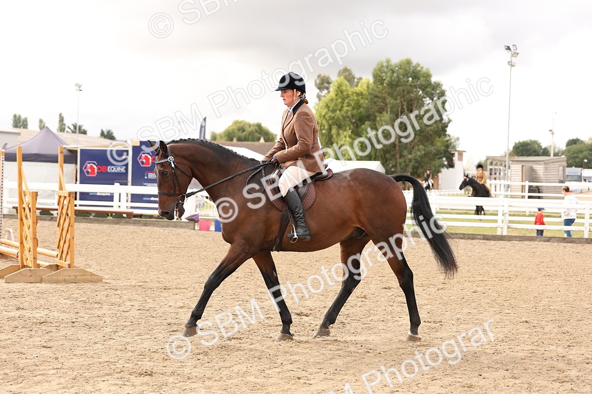 SBM_02827 - Class 53 - Ridden Competition Horse/Pony