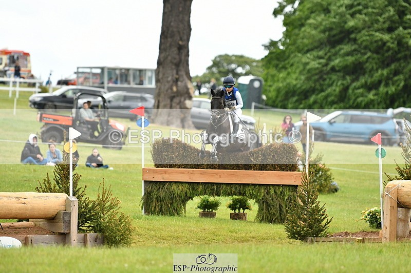 250525A-121611-16627 - D-409-Kirsty.Chabert-HERALDIKS.GIRL.OPPOSITION