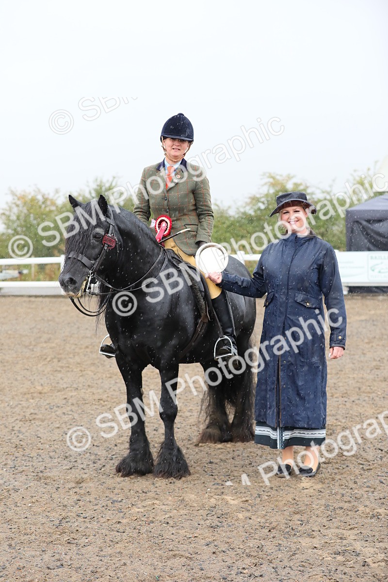 SBM_20627 - Class 804 - Ridden Veteran Pony