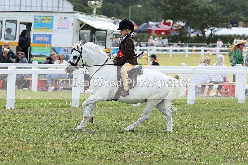JPP_2006 - Class 18: Tiny Tots Working Hunter Pony