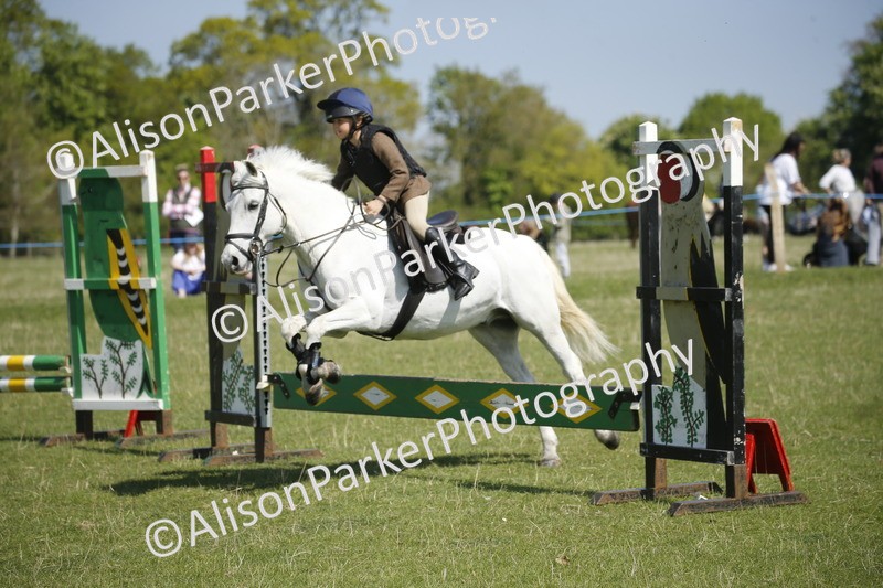 20250427-2216 - Class 13 - Novice Jumping 60cm