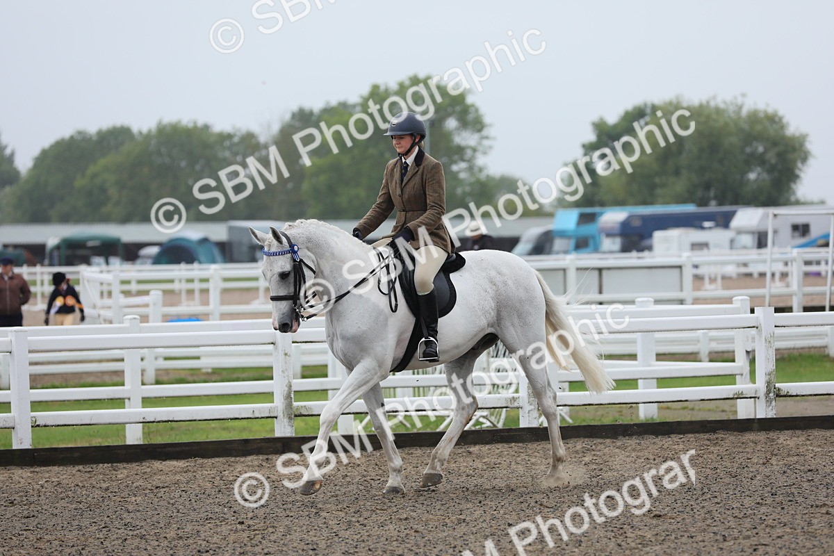 SBM_20035 - Class 802 - Ridden Groom - Helpers class