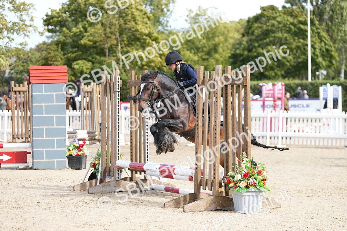 SBM_20627 - J49 - Open 50cm