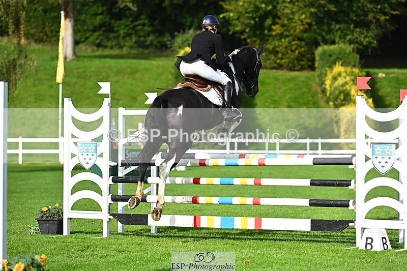 231020-111042-06369 - 101-RICARDO.COLOURS.II-Elizabeth.Wadey-SJ