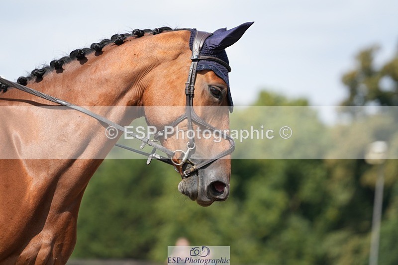 250823A-125953-31101 - Arena A