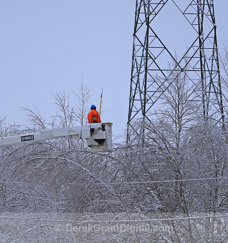 Tree Trimming # 3 - Extreme Weather