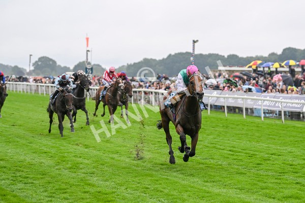 080924-Race 1-Windlord-8803 - Race 1 1.40pm British European Breeders Fund Novice Stakes