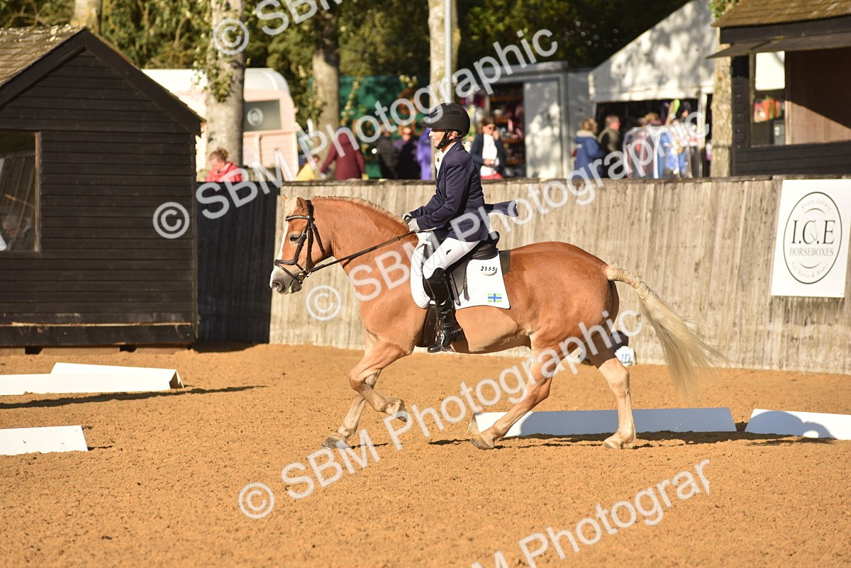 SBM_11416 - D28 - Elementary