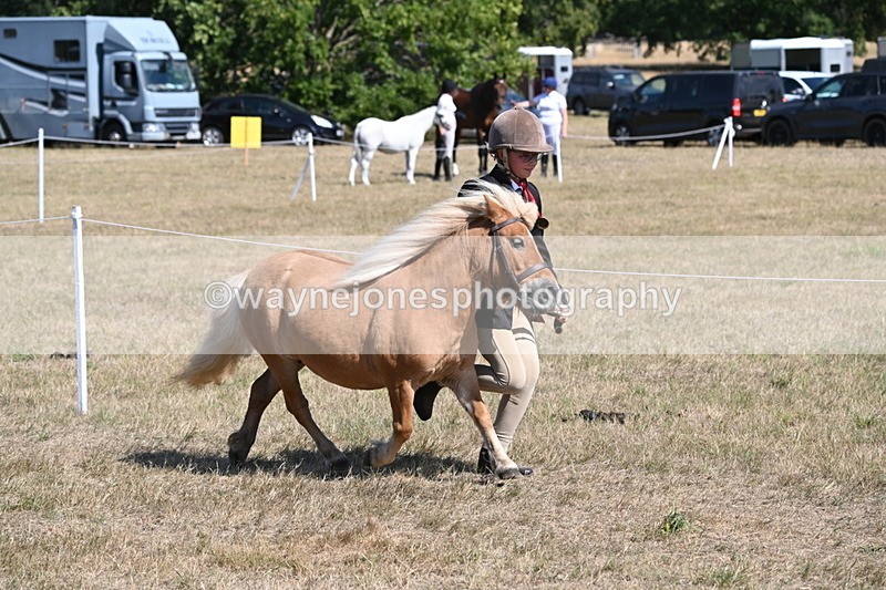 WJ6_9208 - Championship Classes 33-38